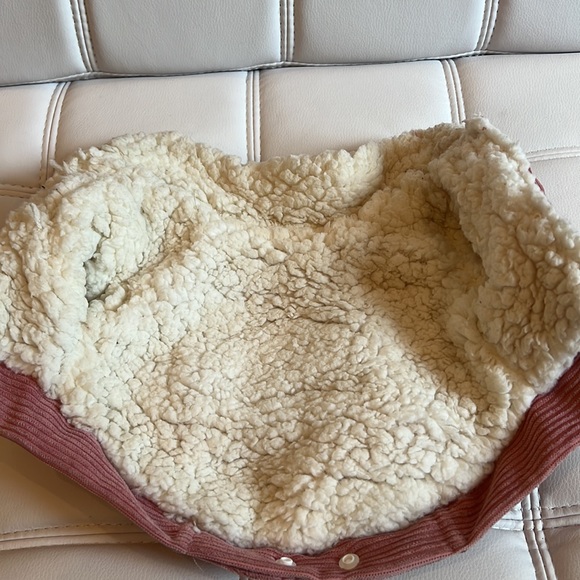 Dog clothes bundle - Picture 3 of 5